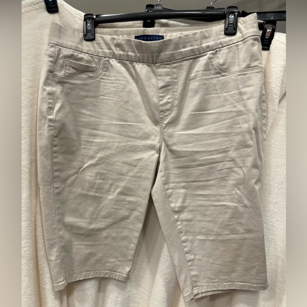 16W khaki shorts good condition